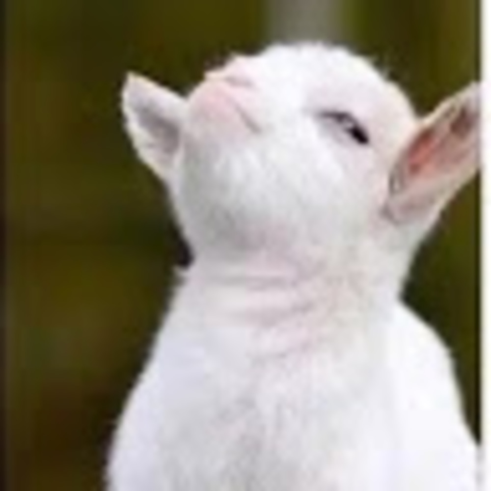 Meet your Posher, Thende